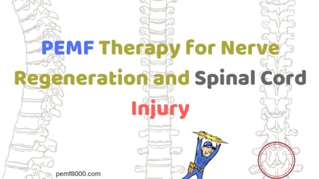 PEMF Therapy for Nerve Regeneration<span class="rmp-archive-results-widget "><i class=" rmp-icon rmp-icon--ratings rmp-icon--star rmp-icon--full-highlight"></i><i class=" rmp-icon rmp-icon--ratings rmp-icon--star rmp-icon--full-highlight"></i><i class=" rmp-icon rmp-icon--ratings rmp-icon--star rmp-icon--full-highlight"></i><i class=" rmp-icon rmp-icon--ratings rmp-icon--star rmp-icon--full-highlight"></i><i class=" rmp-icon rmp-icon--ratings rmp-icon--star rmp-icon--full-highlight"></i> <span>5 (39)</span></span> PEMF Therapy for Nerve Regeneration