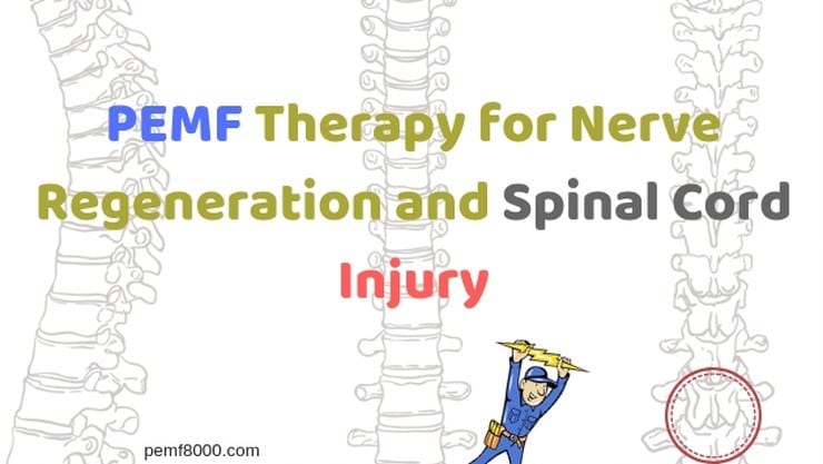 PEMF Therapy for Nerve Regeneration<span class="rmp-archive-results-widget "><i class=" rmp-icon rmp-icon--ratings rmp-icon--star rmp-icon--full-highlight"></i><i class=" rmp-icon rmp-icon--ratings rmp-icon--star rmp-icon--full-highlight"></i><i class=" rmp-icon rmp-icon--ratings rmp-icon--star rmp-icon--full-highlight"></i><i class=" rmp-icon rmp-icon--ratings rmp-icon--star rmp-icon--full-highlight"></i><i class=" rmp-icon rmp-icon--ratings rmp-icon--star rmp-icon--full-highlight"></i> <span>5 (39)</span></span> PEMF Therapy for Nerve Regeneration
