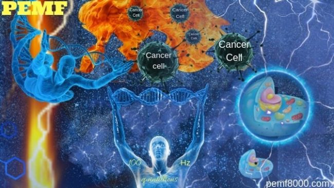 What is PEMF? How can it relieve your pain?<span class="rmp-archive-results-widget "><i class=" rmp-icon rmp-icon--ratings rmp-icon--star rmp-icon--full-highlight"></i><i class=" rmp-icon rmp-icon--ratings rmp-icon--star rmp-icon--full-highlight"></i><i class=" rmp-icon rmp-icon--ratings rmp-icon--star rmp-icon--full-highlight"></i><i class=" rmp-icon rmp-icon--ratings rmp-icon--star rmp-icon--full-highlight"></i><i class=" rmp-icon rmp-icon--ratings rmp-icon--star rmp-icon--half-highlight js-rmp-replace-half-star"></i> <span>4.7 (62)</span></span> What is PEMF? How can it relieve your pain?