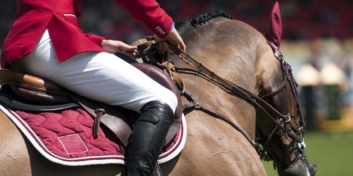 PEMF 8000 Machine Can be Used for Treating Animals