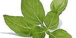 The best PEMF Supplement Support ideas for PEMF body detox. PEMF healing support and detox.