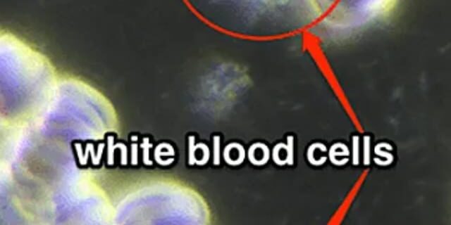 PEMF Treatment Principles