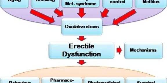 PEMF Health Benefits | Best PEMF Device for Health