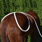 Super-sized Horse Loop
