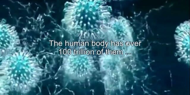 Best Pulsed Electromagnetic Devices