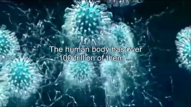 Best Pulsed Electromagnetic Devices<span class="rmp-archive-results-widget "><i class=" rmp-icon rmp-icon--ratings rmp-icon--star rmp-icon--full-highlight"></i><i class=" rmp-icon rmp-icon--ratings rmp-icon--star rmp-icon--full-highlight"></i><i class=" rmp-icon rmp-icon--ratings rmp-icon--star rmp-icon--full-highlight"></i><i class=" rmp-icon rmp-icon--ratings rmp-icon--star rmp-icon--full-highlight"></i><i class=" rmp-icon rmp-icon--ratings rmp-icon--star rmp-icon--full-highlight"></i> <span>5 (113)</span></span> Best Pulsed Electromagnetic Devices